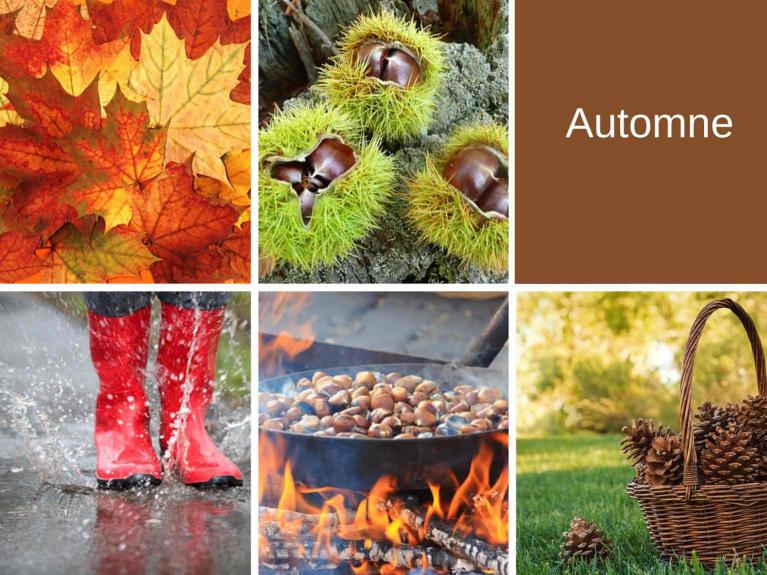 Automne et Toussaintau grand gite de Saumur