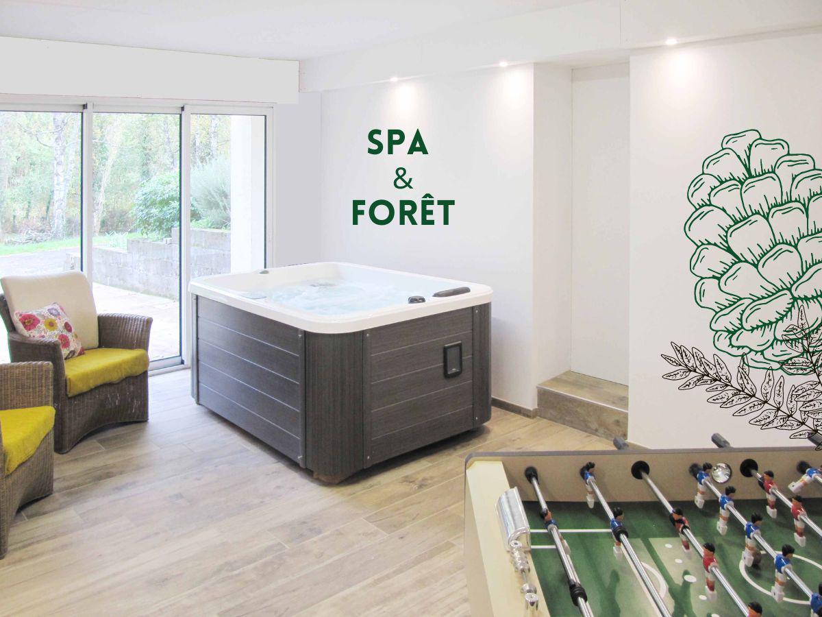 Grand gite avec jacuzzi Spa