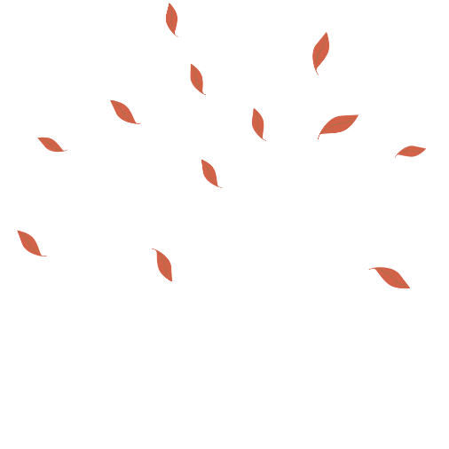 Gite-L'Appel-de-la-forêt