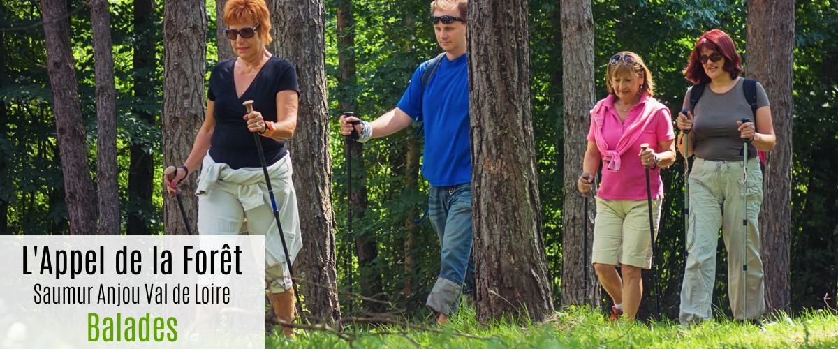 Rando en Anjou-gite-l'Appel de la Foret