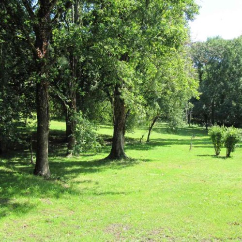 Gite entouré d'arbres