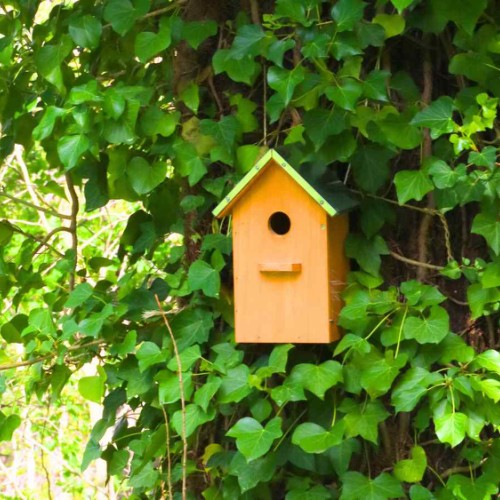 Gite refuge LPO à Saumur