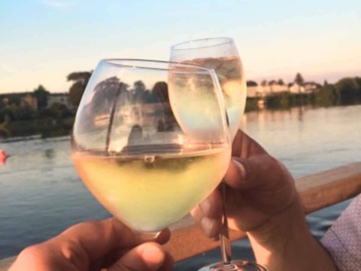 Vue du résultat des vendanges en septembre à Saumur